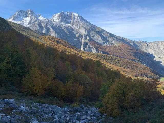 Cumbres De Los Picos Apartamento Buhos Poo  외부 사진